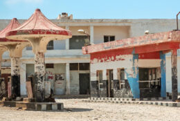 Socotra_2025 (74/76)